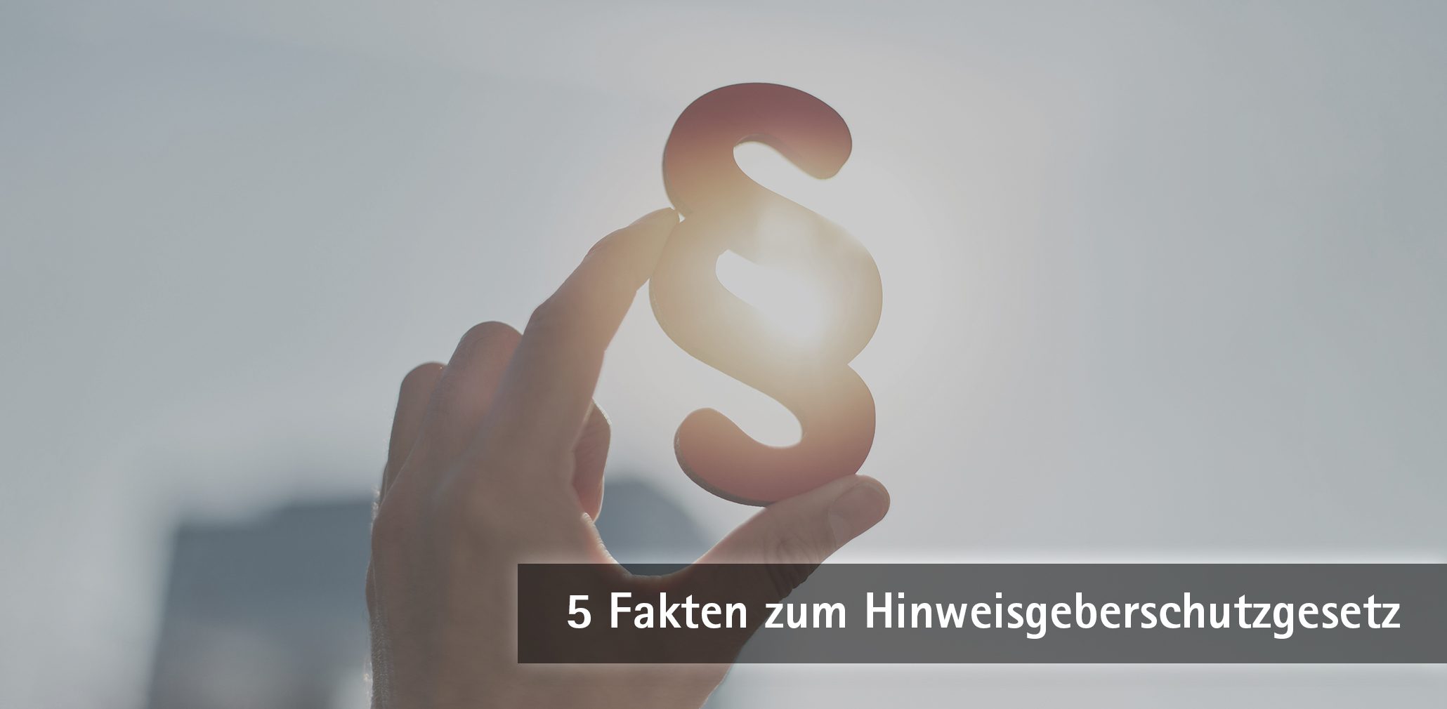 5-Fakten-zum-Hinweisgeberschutzgesetz-SONNTAG-IT-Solutions